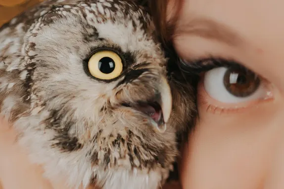 Casino Royal Winner Tacaíocht